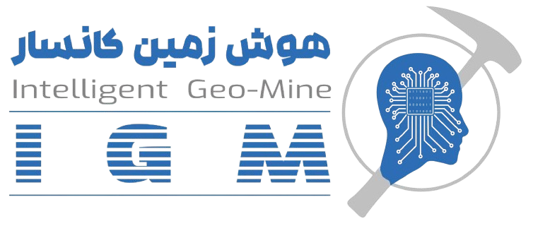 Consultant Logo